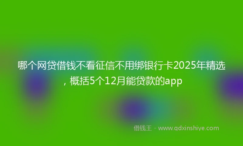 哪个网贷借钱不看征信不用绑银行卡2025年精选，概括5个12月能贷款的app