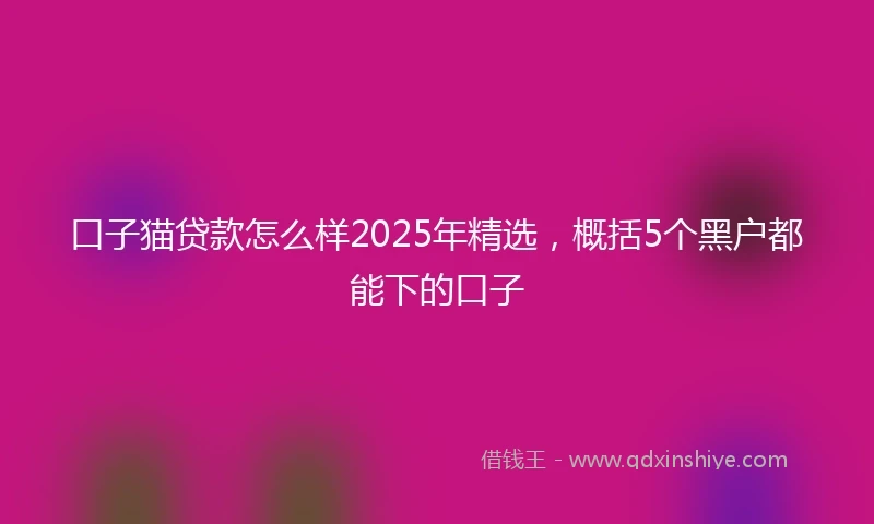 口子猫贷款怎么样2025年精选，概括5个黑户都能下的口子