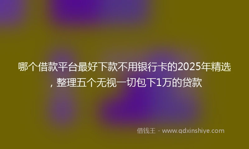 哪个借款平台最好下款不用银行卡的2025年精选，整理五个无视一切包下1万的贷款