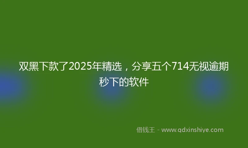 双黑下款了2025年精选,分享五个714无视逾期秒下的软件