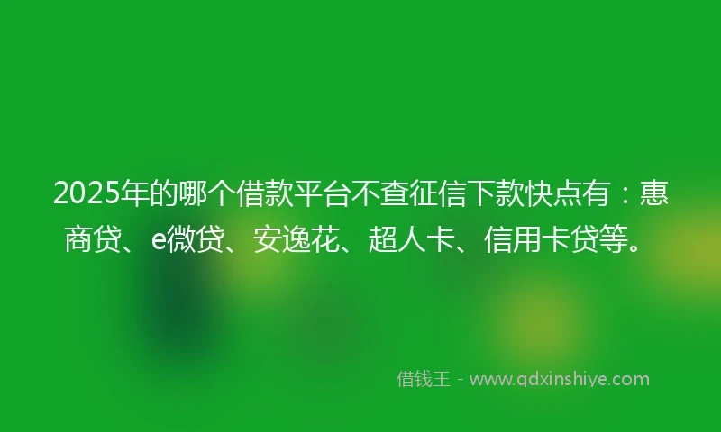 2025年的哪个借款平台不查征信下款快点有：惠商贷、e微贷、安逸花、超人卡、信用卡贷等。