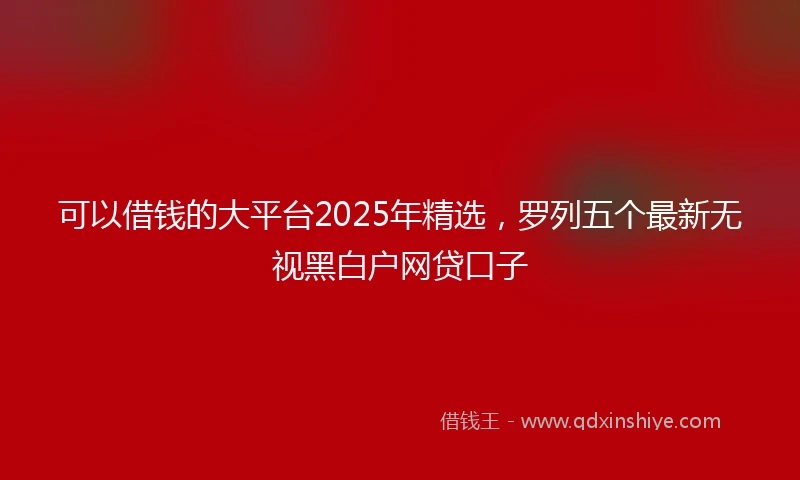 可以借钱的大平台2025年精选，罗列五个最新无视黑白户网贷口子