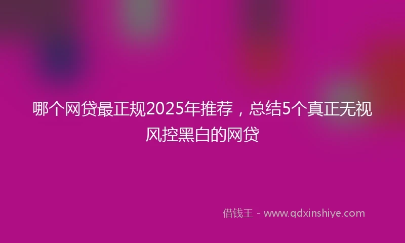 哪个网贷最正规2025年推荐，总结5个真正无视风控黑白的网贷