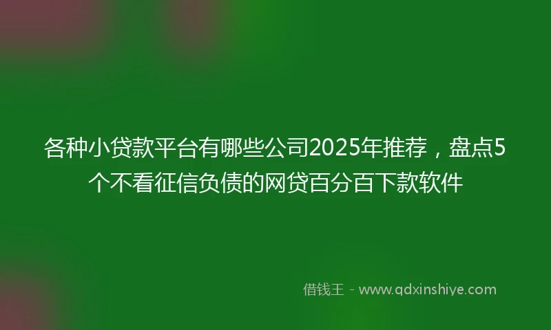 各种小贷款平台有哪些公司2025年推荐,盘点5个不看征信负债的网贷百分百下款软件