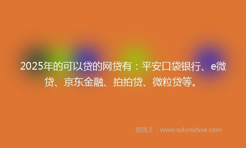 2025年的可以贷的网贷有：平安口袋银行、e微贷、京东金融、拍拍贷、微粒贷等。
