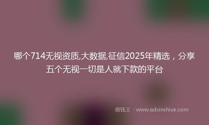 哪个714无视资质,大数据,征信2025年精选，分享五个无视一切是人就下款的平台