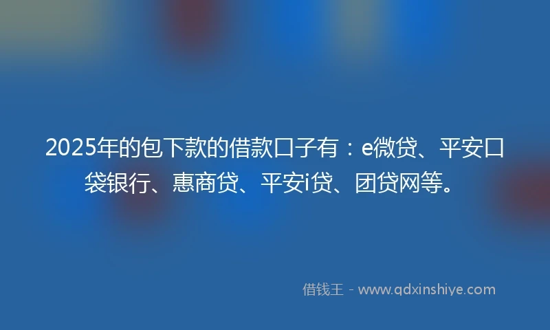 2025年的包下款的借款口子有：e微贷、平安口袋银行、惠商贷、平安i贷、团贷网等。