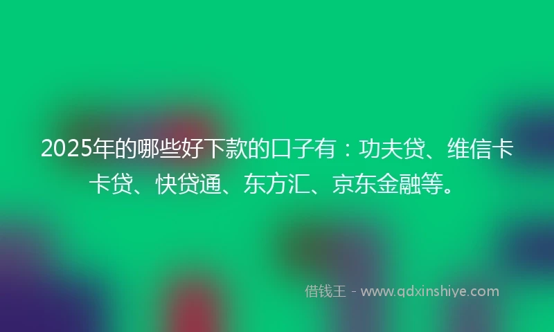 2025年的哪些好下款的口子有：功夫贷、维信卡卡贷、快贷通、东方汇、京东金融等。