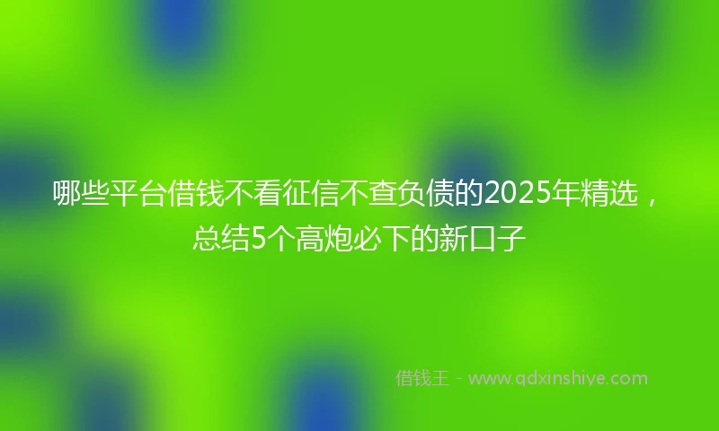 哪些平台借钱不看征信不查负债的2025年精选，总结5个高炮必下的新口子