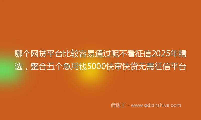 哪个网贷平台比较容易通过呢不看征信2025年精选，整合五个急用钱5000快审快贷无需征信平台