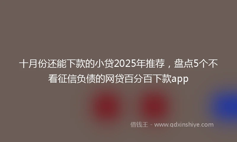 十月份还能下款的小贷2025年推荐，盘点5个不看征信负债的网贷百分百下款app
