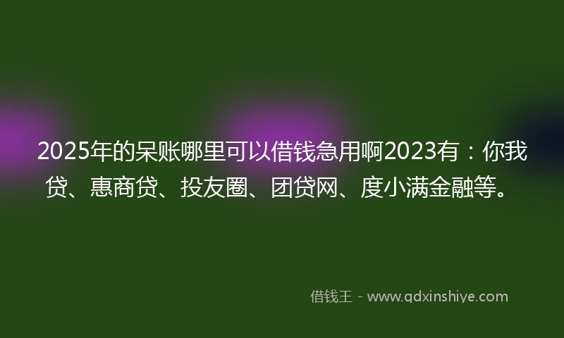 2025年的呆账哪里可以借钱急用啊2023有：你我贷、惠商贷、投友圈、团贷网、度小满金融等。