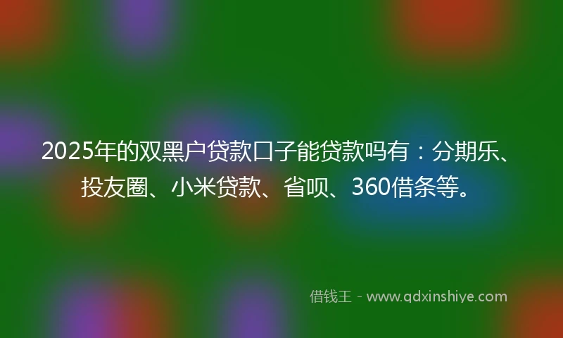 2025年的双黑户贷款口子能贷款吗有：分期乐、投友圈、小米贷款、省呗、360借条等。