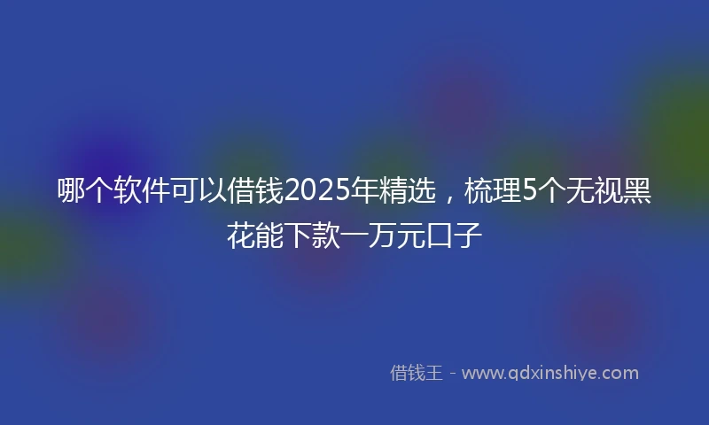 哪个软件可以借钱2025年精选，梳理5个无视黑花能下款一万元口子