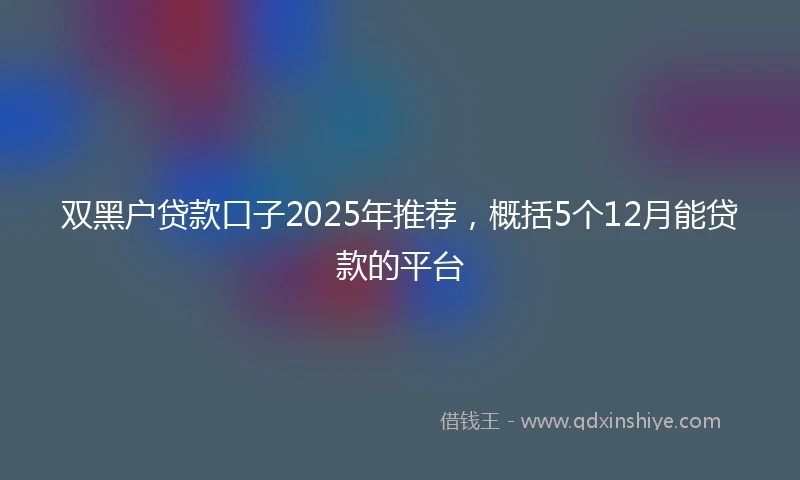 双黑户贷款口子2025年推荐，概括5个12月能贷款的平台