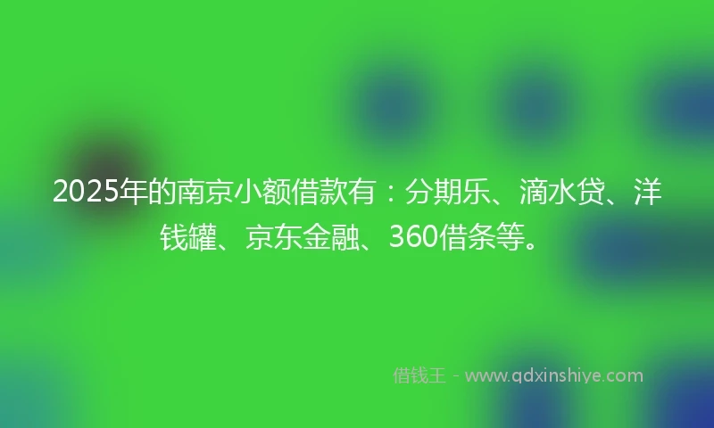 2025年的南京小额借款有：分期乐、滴水贷、洋钱罐、京东金融、360借条等。