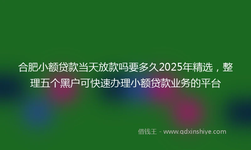 合肥小额贷款当天放款吗要多久2025年精选，整理五个黑户可快速办理小额贷款业务的平台