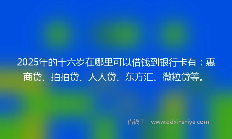 2025年的十六岁在哪里可以借钱到银行卡有：惠商贷、拍拍贷、人人贷、东方汇、微粒贷等。