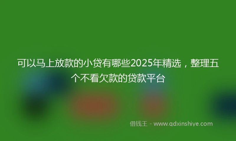 可以马上放款的小贷有哪些2025年精选，整理五个不看欠款的贷款平台