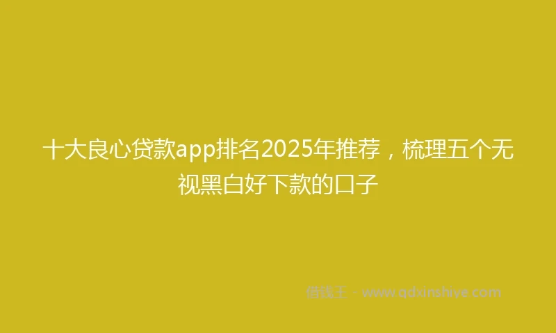 十大良心贷款app排名2025年推荐，梳理五个无视黑白好下款的口子