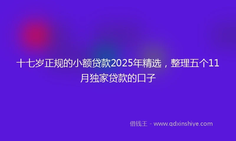 十七岁正规的小额贷款2025年精选，整理五个11月独家贷款的口子