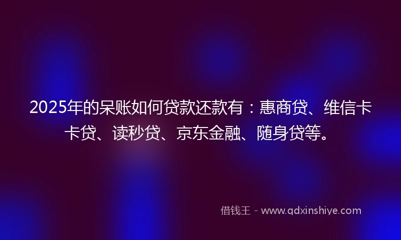 2025年的呆账如何贷款还款有：惠商贷、维信卡卡贷、读秒贷、京东金融、随身贷等。