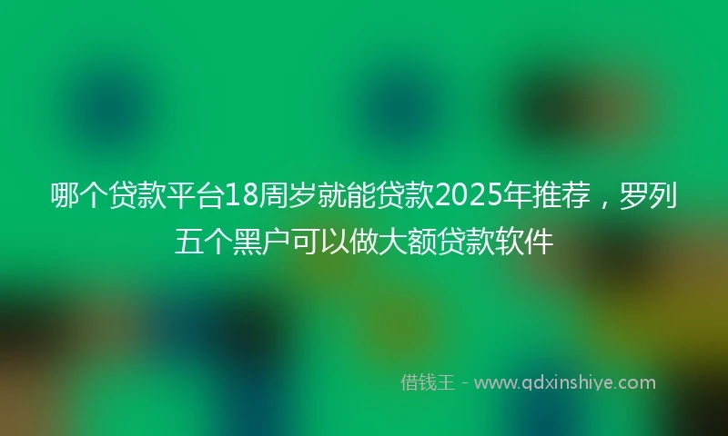 哪个贷款平台18周岁就能贷款2025年推荐，罗列五个黑户可以做大额贷款软件