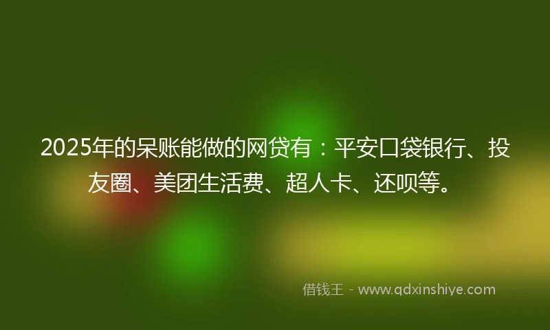 2025年的呆账能做的网贷有：平安口袋银行、投友圈、美团生活费、超人卡、还呗等。