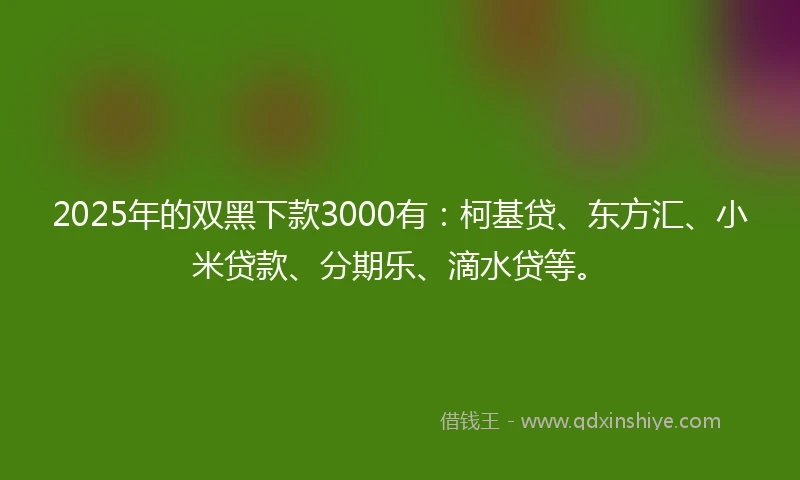 2025年的双黑下款3000有:柯基贷、东方汇、小米贷款、分期乐、滴水贷等。
