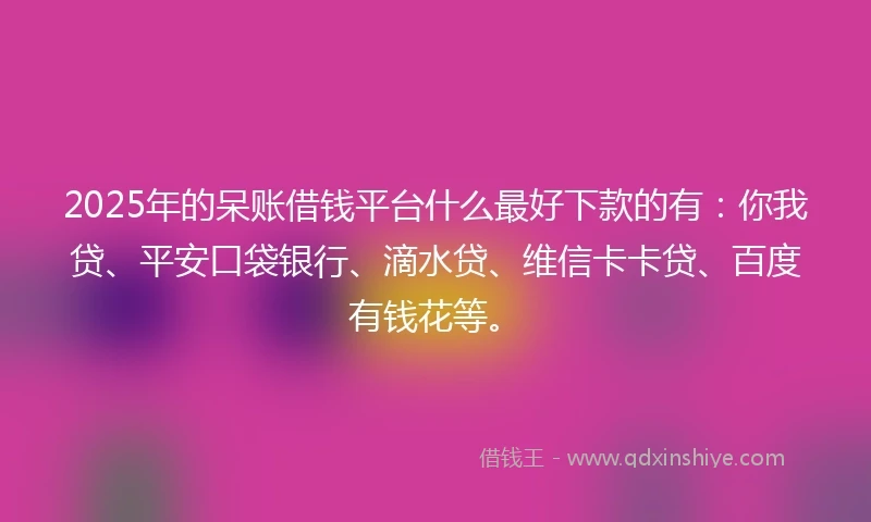 2025年的呆账借钱平台什么最好下款的有：你我贷、平安口袋银行、滴水贷、维信卡卡贷、百度有钱花等。