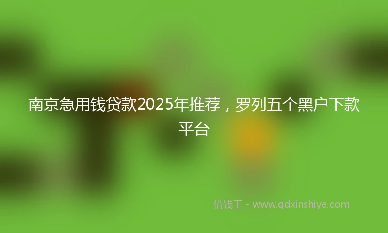 南京急用钱贷款2025年推荐，罗列五个黑户下款平台
