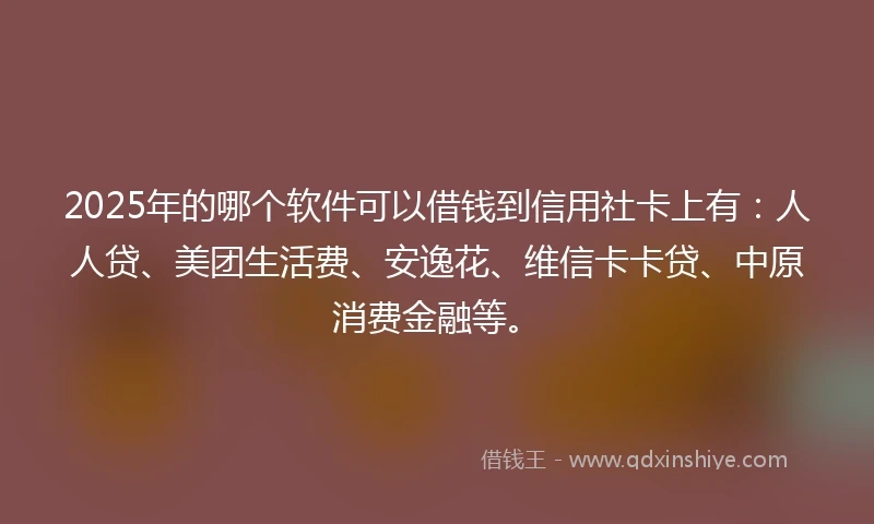 2025年的哪个软件可以借钱到信用社卡上有：人人贷、美团生活费、安逸花、维信卡卡贷、中原消费金融等。