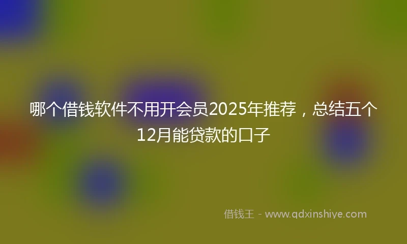 哪个借钱软件不用开会员2025年推荐，总结五个12月能贷款的口子