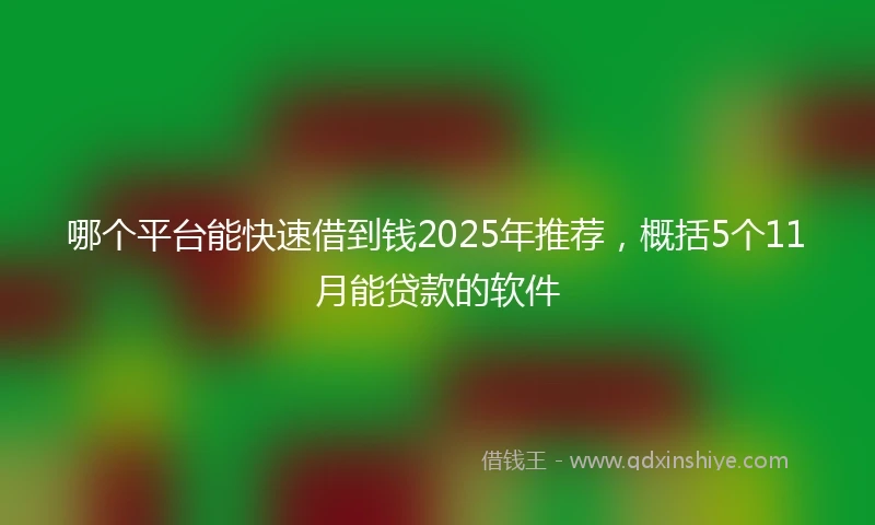 哪个平台能快速借到钱2025年推荐，概括5个11月能贷款的软件