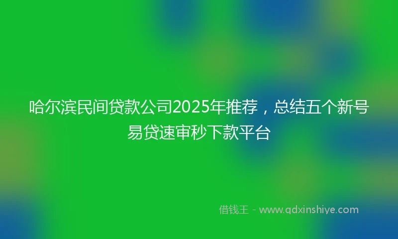 哈尔滨民间贷款公司2025年推荐，总结五个新号易贷速审秒下款平台
