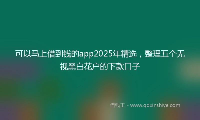 可以马上借到钱的app2025年精选，整理五个无视黑白花户的下款口子