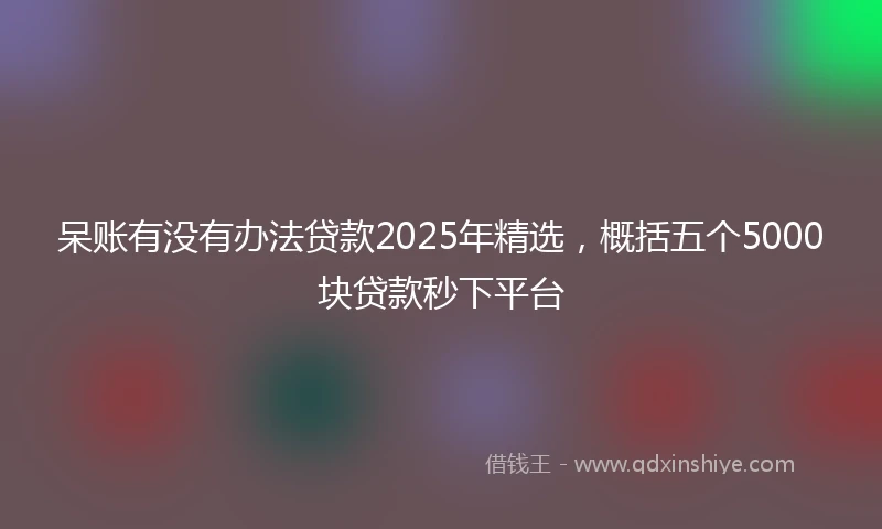 呆账有没有办法贷款2025年精选，概括五个5000块贷款秒下平台