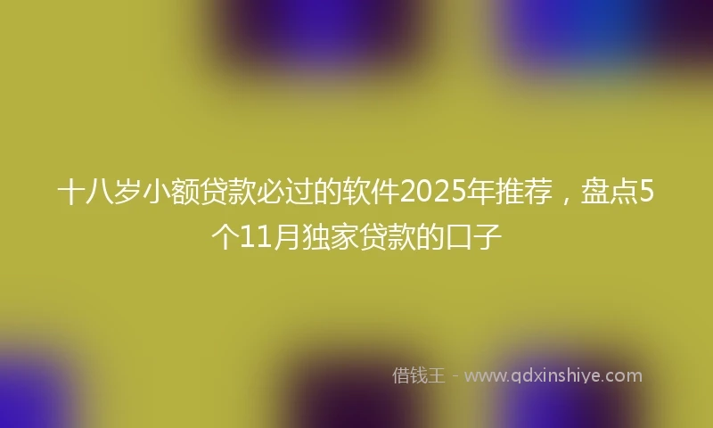 十八岁小额贷款必过的软件2025年推荐，盘点5个11月独家贷款的口子