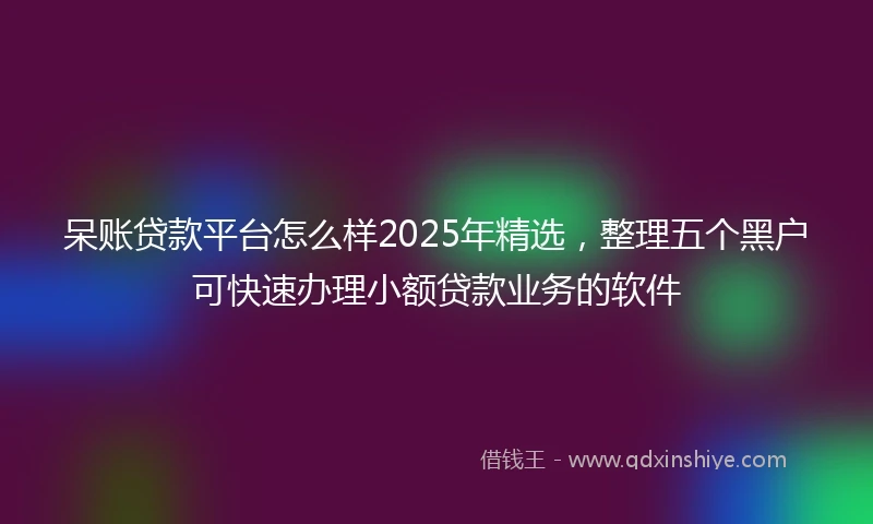 呆账贷款平台怎么样2025年精选，整理五个黑户可快速办理小额贷款业务的软件