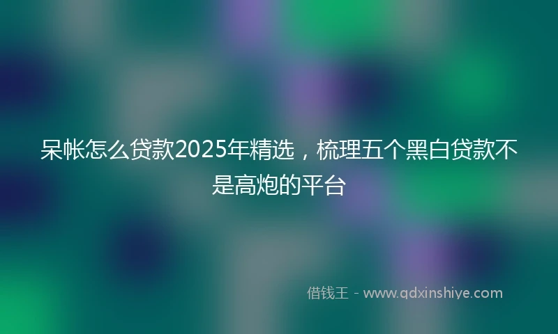 呆帐怎么贷款2025年精选，梳理五个黑白贷款不是高炮的平台