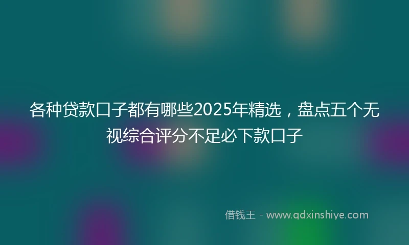 各种贷款口子都有哪些2025年精选，盘点五个无视综合评分不足必下款口子