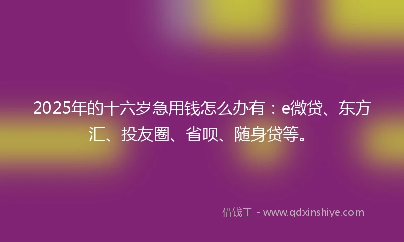 2025年的十六岁急用钱怎么办有：e微贷、东方汇、投友圈、省呗、随身贷等。