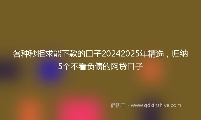 各种秒拒求能下款的口子20242025年精选，归纳5个不看负债的网贷口子