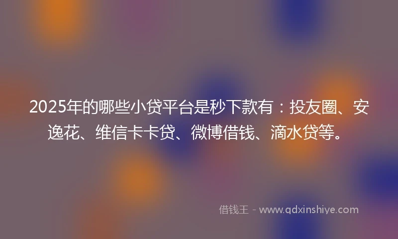 2025年的哪些小贷平台是秒下款有：投友圈、安逸花、维信卡卡贷、微博借钱、滴水贷等。