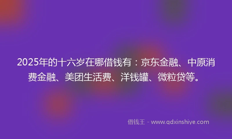 2025年的十六岁在哪借钱有：京东金融、中原消费金融、美团生活费、洋钱罐、微粒贷等。