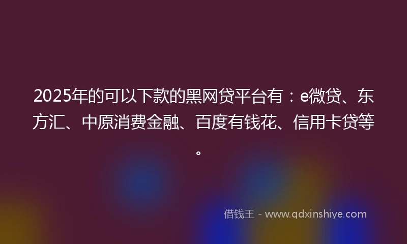 2025年的可以下款的黑网贷平台有：e微贷、东方汇、中原消费金融、百度有钱花、信用卡贷等。
