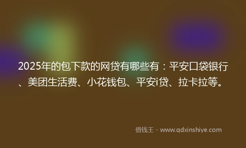 2025年的包下款的网贷有哪些有：平安口袋银行、美团生活费、小花钱包、平安i贷、拉卡拉等。