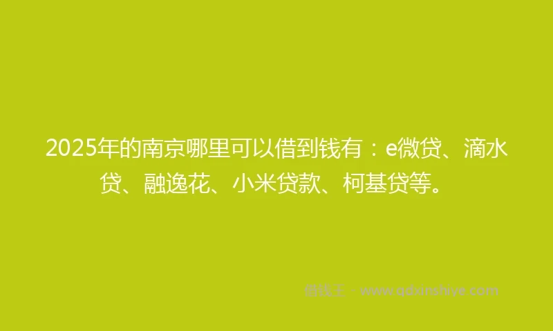 2025年的南京哪里可以借到钱有：e微贷、滴水贷、融逸花、小米贷款、柯基贷等。