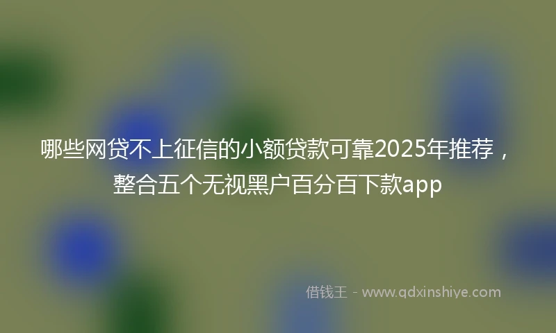 哪些网贷不上征信的小额贷款可靠2025年推荐，整合五个无视黑户百分百下款app