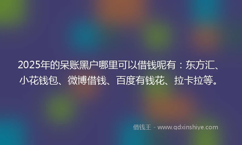 2025年的呆账黑户哪里可以借钱呢有：东方汇、小花钱包、微博借钱、百度有钱花、拉卡拉等。